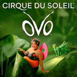 OVO - Cirque du Soleil