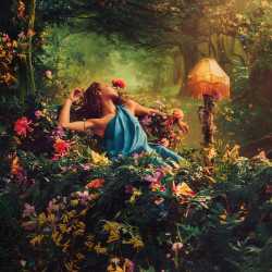 A Midsummer Night's Dream